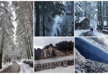 Photo of Blida: chutes des premières neiges sur les monts de l’Atlas Blidéen