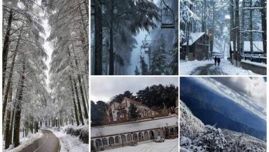 Photo of Blida: chutes des premières neiges sur les monts de l’Atlas Blidéen