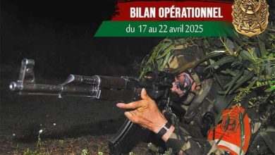 Photo of ANP: 12 éléments de soutien aux groupes terroristes arrêtés en une semaine