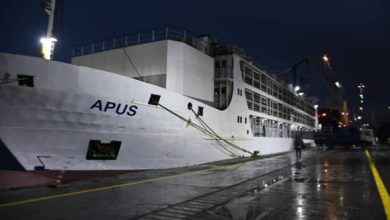 Photo of Aïd El Adha: arrivée du premier navire chargé de 15 mille têtes de moutons au port d’Alger