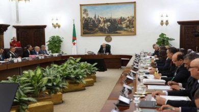Photo of Conseil des ministres : le prix du mouton de l’Aïd importé fixé à 40.000 DA