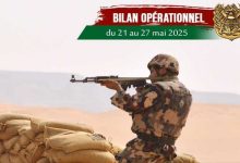 Photo of ANP: mise en échec de tentatives d’introduction de plus de 18 quintaux de drogue via les frontières avec le Maroc