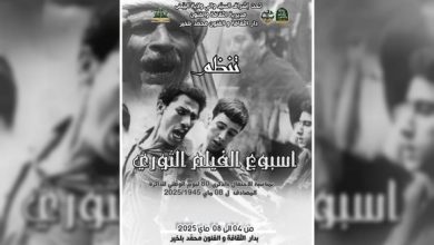 Photo of El-Bayadh: lancement de la Semaine du film révolutionnaire