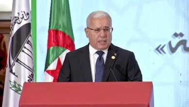 Photo of L’Algérie plaide pour une action arabe commune en faveur des causes décisives