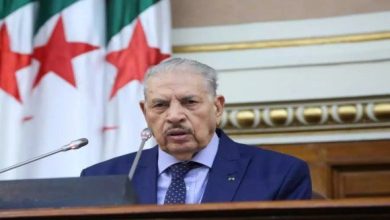 Photo of L’Algérie ne cessera d’appeler à une unité de la position arabe