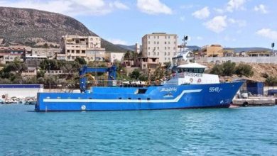Photo of Chlef: participation du navire « Z’malet El-Emir Abdelkader » à la campagne de pêche du thon rouge