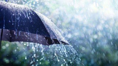 Photo of Les pluies orageuses continueront d’affecter plusieurs wilayas du pays, mercredi et jeudi