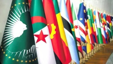 Photo of Journée mondiale de l’Afrique : engagement constant de l’Algérie pour les intérêts du continent